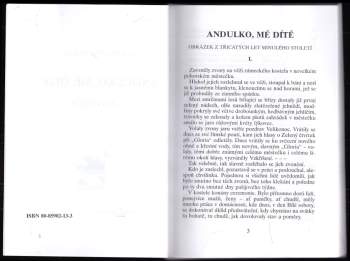 Vlasta Pittnerová: Andulko, mé dítě-