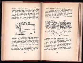 Karel Čapek: Anglické listy - pro větší názornost provázené obrázky autorovými