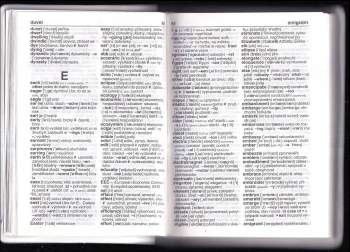 Martin Knezovič: Anglicko-český česko-anglický slovník gramatika fráze