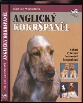 Anglický kokršpaněl