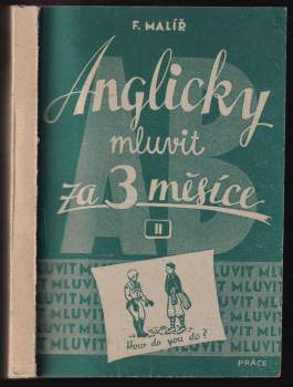 František Malíř: Anglicky mluvit za 3 měsíce