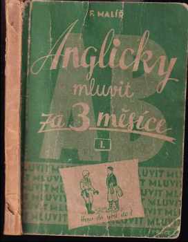 Anglicky mluvit za tři měsíce
