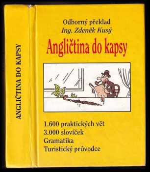 Angličtina do kapsy