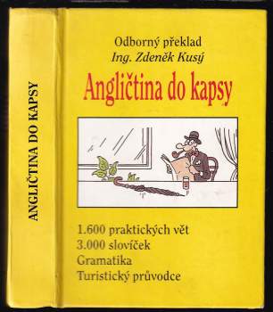 Angličtina do kapsy