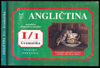Angličtina - intensivní kurs