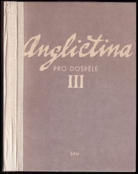 Angličtina pro dospělé