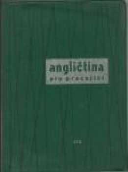 Angličtina pro pracující