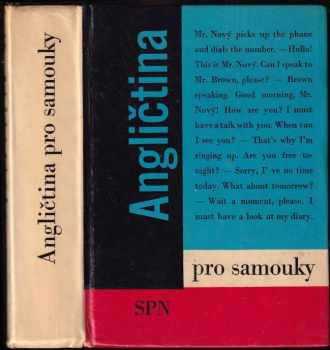 Angličtina pro samouky