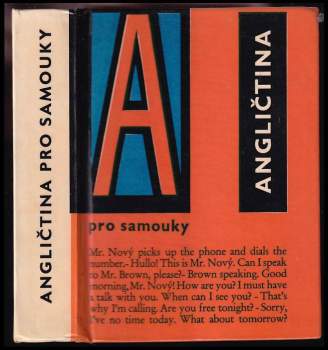 Angličtina pro samouky