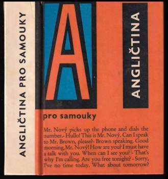 Angličtina pro samouky