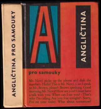 Angličtina pro samouky