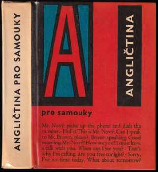 Angličtina pro samouky