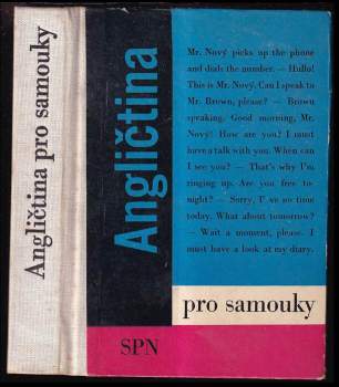 Angličtina pro samouky