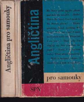 Angličtina pro samouky