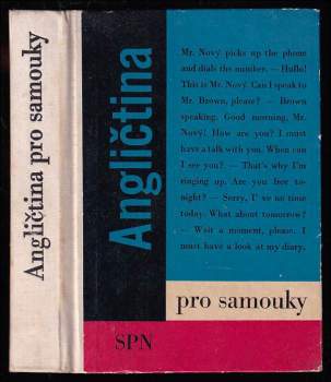 Angličtina pro samouky