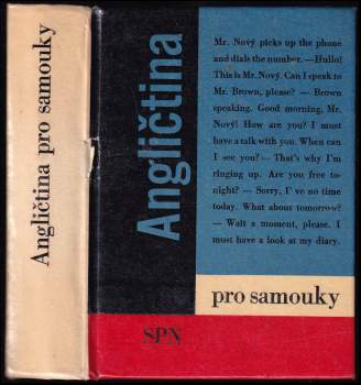 Ludmila Kollmannová: Angličtina pro samouky