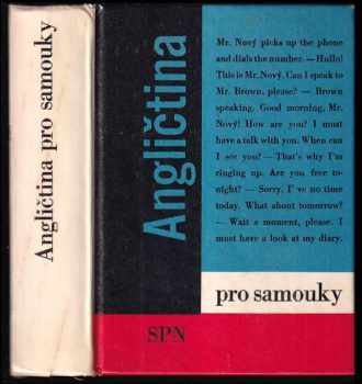 Angličtina pro samouky