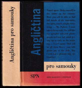 Angličtina pro samouky