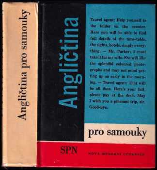 Angličtina pro samouky