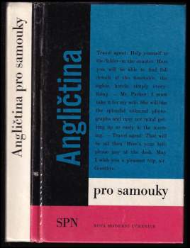 Angličtina pro samouky