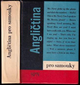 Angličtina pro samouky