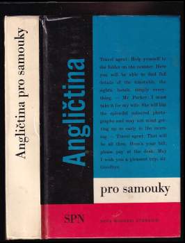 Angličtina pro samouky