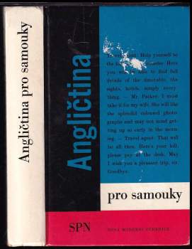 Angličtina pro samouky