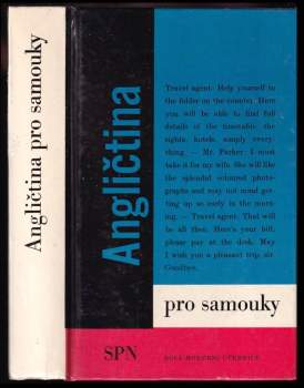 Angličtina pro samouky