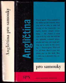 Angličtina pro samouky