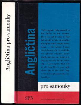 Angličtina pro samouky