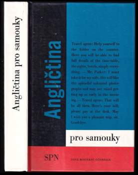 Angličtina pro samouky