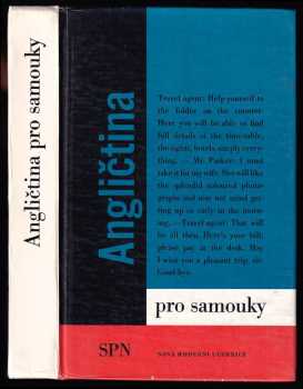 Angličtina pro samouky