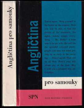 Angličtina pro samouky