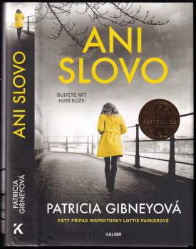 Ani slovo