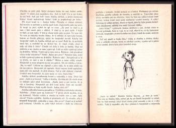 Vítězslav Nezval: Anička skřítek a Slaměný Hubert