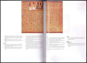 Jaromír Kozák: Aniho papyrus