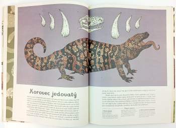 Jenny Broom: Animalium