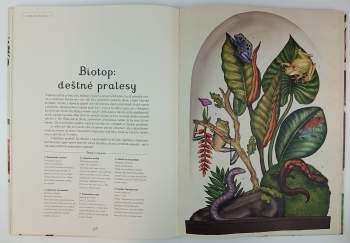 Jenny Broom: Animalium