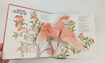 Animals Showing Off (A Pop-Up Book)
