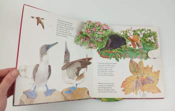 Animals Showing Off (A Pop-Up Book)