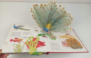 Animals Showing Off (A Pop-Up Book)