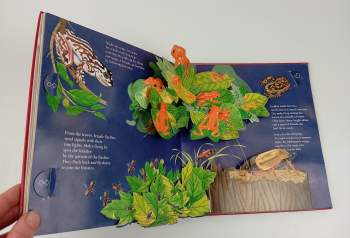 Animals Showing Off (A Pop-Up Book)
