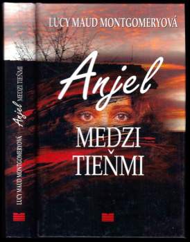 Anjel medzi tieňmi