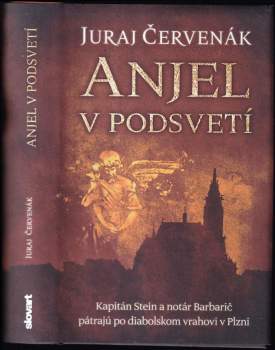Anjel v podsvetí : siedmy prípad kapitána Steina a notára Barbariča