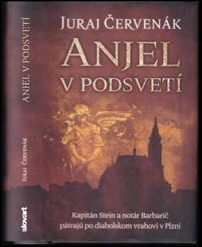 Anjel v podsvetí
