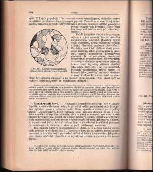 Heinrich Remy: Anorganická chemie