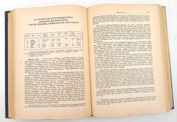 Heinrich Remy: Anorganická chemie. 2. díl
