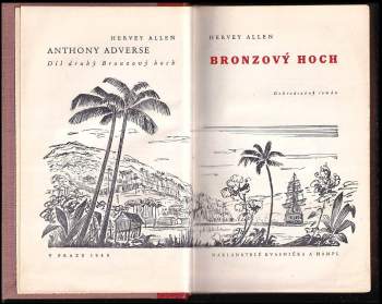 Hervey Allen: Anthony Adverse, 1. - 2. díl : Malá Madona + Bronzový hoch