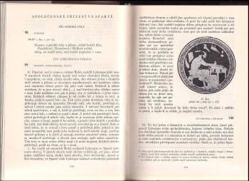 Bořivoj Borecký: Antika v dokumentech