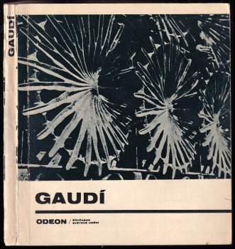 Felix Haas: Antoni Gaudí